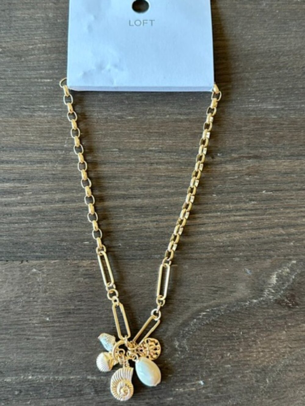 LOFT Seashell Cluster Necklace